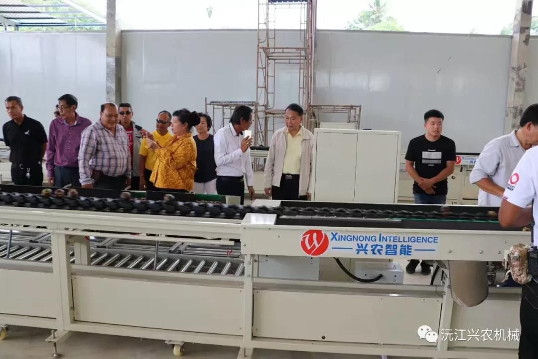 沅江興農(nóng)機械制造有限公司,沅江水果分選機,沅江水果清洗機,沅江水果打蠟機哪里好,沅江興農(nóng)機 沅江興農(nóng)機械制造有限公司,沅江水果分選機,沅江水果清洗機,沅江水果打蠟機哪里好,沅江興農(nóng)機